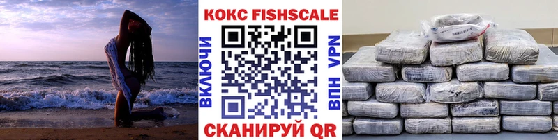COCAIN Fish Scale  Купить закладки  Змеиногорск 
