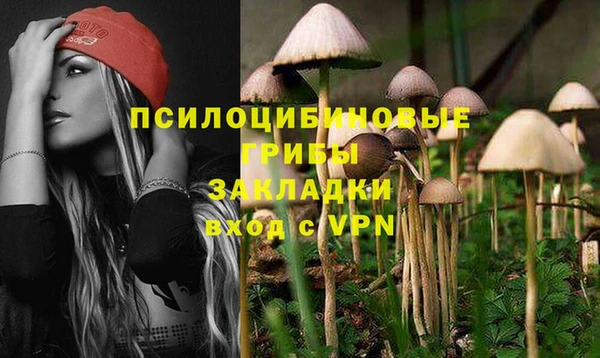 кокаин премиум Ельня