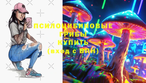 дживик Елизово