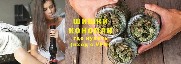 2c-b Заводоуковск