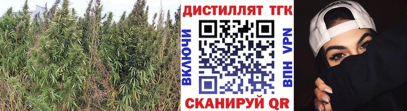 Дистиллят ТГК вейп  Купить где  Змеиногорск 