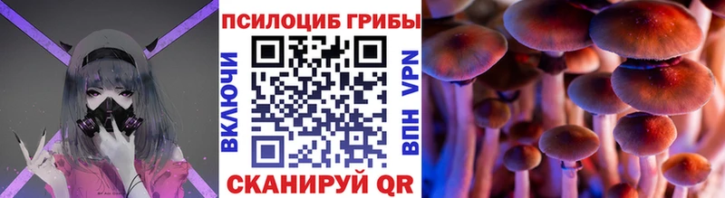 Купить где  Змеиногорск  Псилоцибиновые грибы прущие грибы 